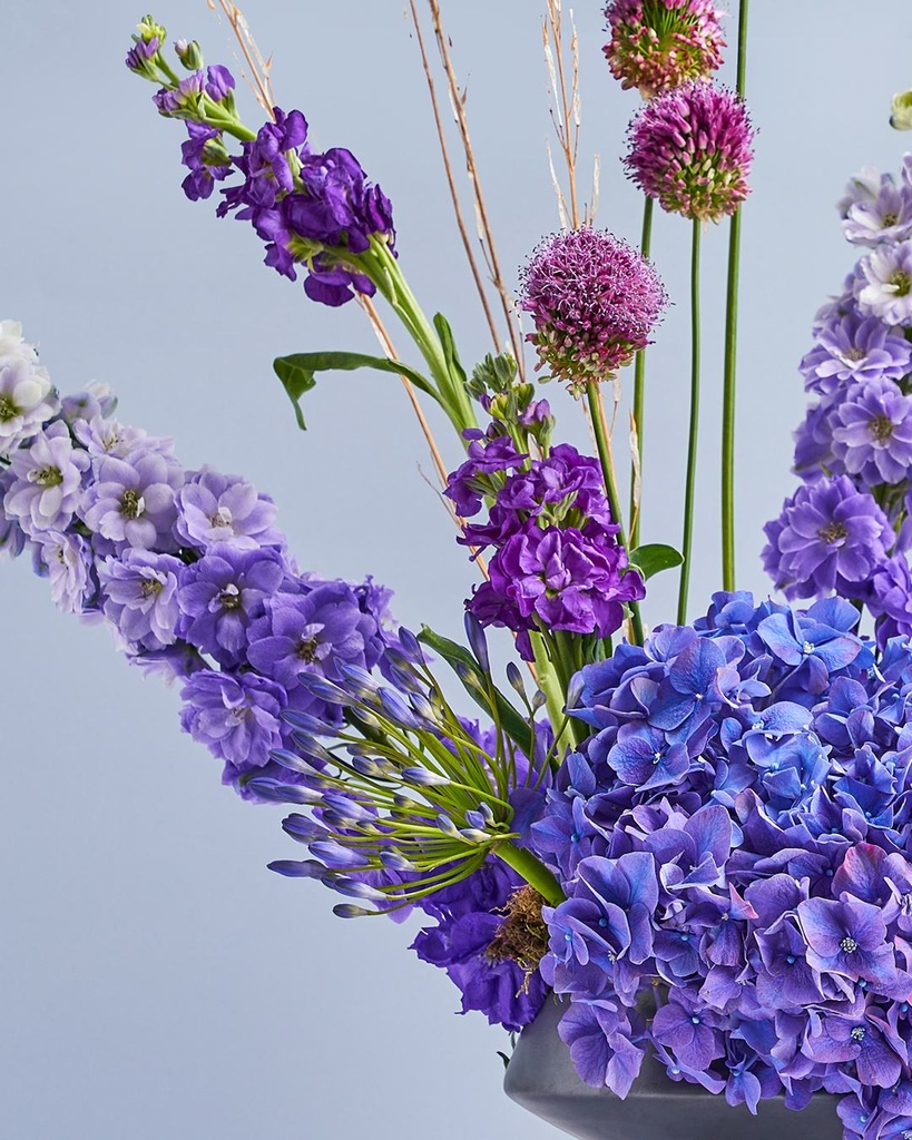 Purple Delphinium