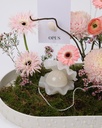 Pearl Blossom