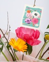 Pink Peonys
