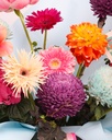 Spring Symphony