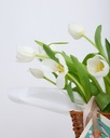 Whispers of Spring