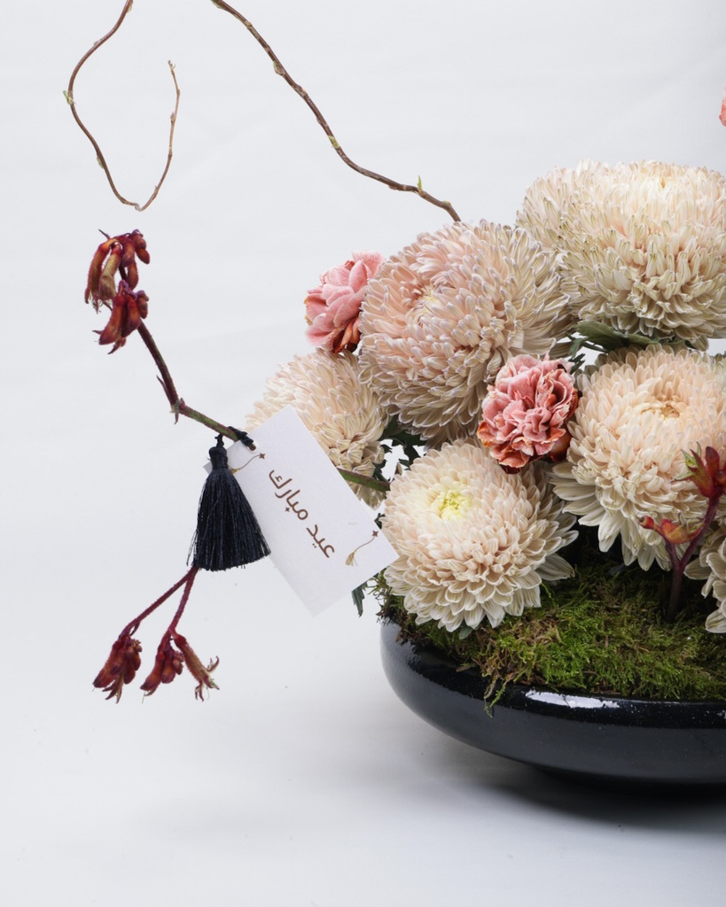 Dune Bloom