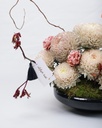 Dune Bloom