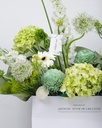 Ivory Bloom