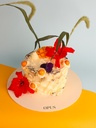 Tropical Delight Mini Cake