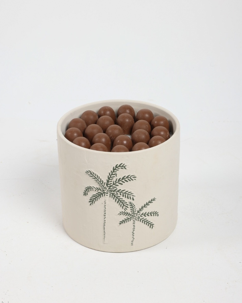 Palm Delight