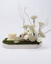 Garden of Pearls 