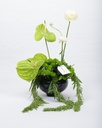 Noir - Small Vase