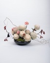 Dune Bloom