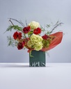 Gerbera Charm