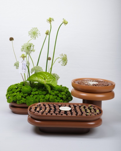 Sandstone Trio Set