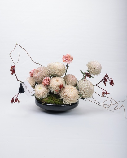 Dune Bloom
